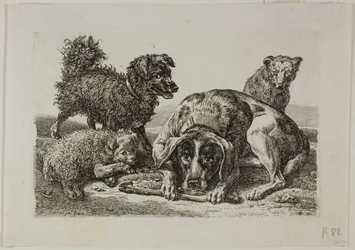 Vier honden, uit Die Zweite Thierfolge