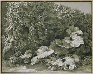 Grootbladige planten bij een met klimop begroeide rotsgrot