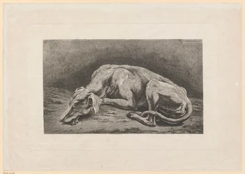 Slapende windhond