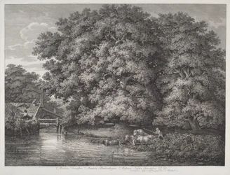 De Molen bij de Grote Eiken