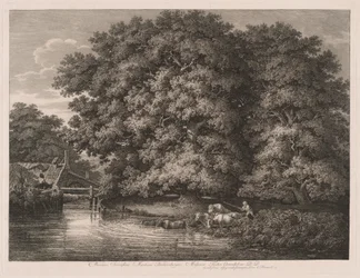 De molen bij de grote eiken