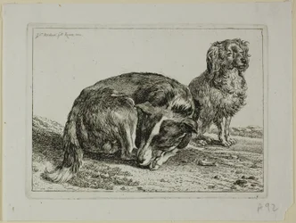 Twee rustende honden, uit Die Zweite Thierfolge