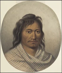 Een verzameling van Waldeck
