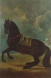 De Bay Hengst met Spaanse zadel