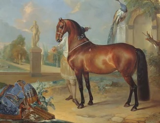 Het bruine paard Sincero