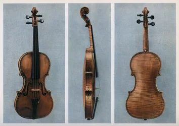 Viool, Nicola Amati, Cremona, zeventiende eeuw, 1948