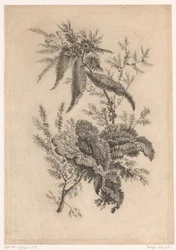 Wilde roosachtigen (Recueil De Nouvelles Fleurs De Goût; Pour la Manufacture des Etoffes de Perse)
