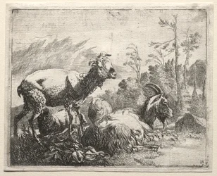 Geiten