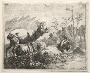 Geiten, 1665