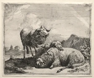 Ram en Twee Schapen