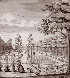 Illustratie van een tuinscène, 1753