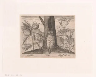 Serie prenten met bloemen en dieren in een landschap