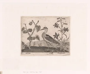 Landschap met reiger en ridderspoor