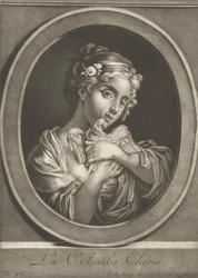 De geliefde duif