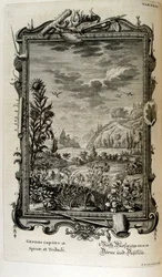 Kopergravure uit 