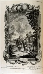 Mandragora plant. Het is vaak bekend als alruin