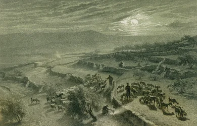 De Vallei van de Herders in Bethlehem. Ets door Bernatz et alii - Steinkopk J.F. Editore