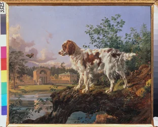 Het landgoed Kuzminki. De manege. Een hond in het landschap