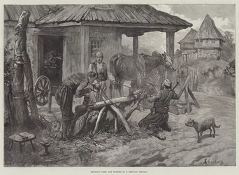 Schoenen van ossen en paarden bij een Servische smidse