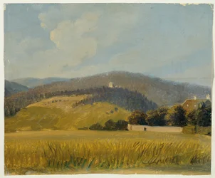 Landschap bij Baden