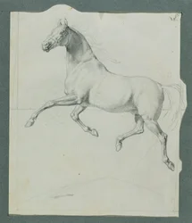 Paardenstudie voor "Rüdiger en Angelika"