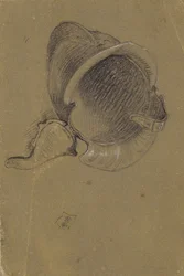 Studie van een helm