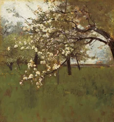 Bloeiende appelboom (olieverf op doek)