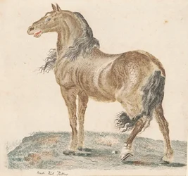 Het Hinniken van het Paard, 1690s