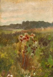 Landschap in Neder-Oostenrijk