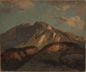 Bergrug, vermoedelijk in Graubünden