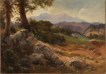 Berglandschap met geiten