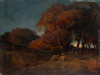 Herfstbos bij maanlicht