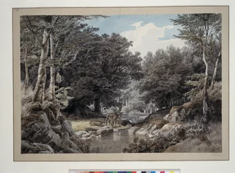 Bosinterieur met herten bij het water