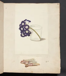 Studie van een bloem in een glas met water en witte asperges