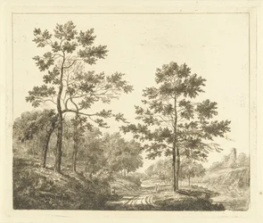 Bospad in heuvelachtig landschap