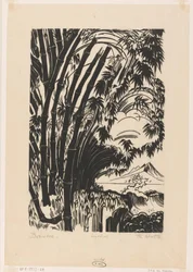 Bamboe