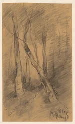 Boslandschap bij Wolfheze