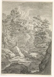 Ravijn met bomen en een beekje