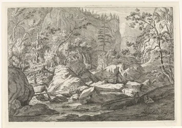Ravijn met rotsblokken en bomen