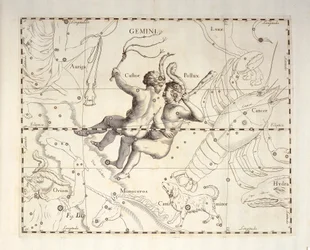 Tweelingen sterrenbeeld, gravure uit sterrenatlas Firmamentum Sobiescianum sive Uronographia, door Johann Hevelius