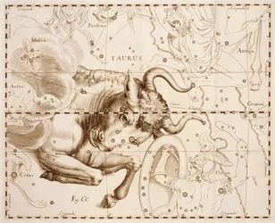 Stier (sterrenbeeld), gravure uit Firmamentum Sobiescianum sive Uranographia, volledige sterrencatalogus, door Johann Hevelius, gedrukt in Gdansk