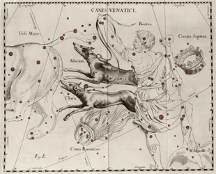 Het sterrenbeeld Canes Venatici, Jachthonden. Plaat getekend uit 