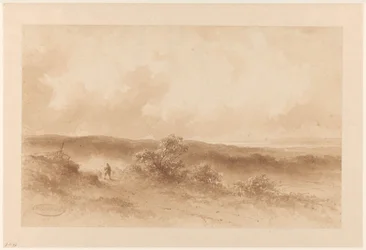 Duinlandschap