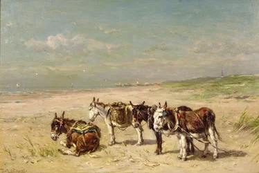 Ezels op het Strand