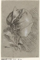 Vrouwenbuste