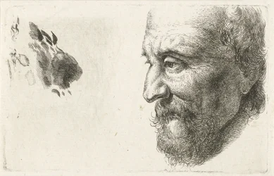 Gezicht van een oude man en profil
