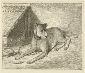 Hond aan een ketting bij een hondenhok