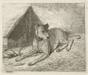 Hond aan een ketting bij een hondenhok