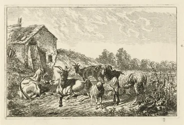 Vier geiten en een schaap bij een huis