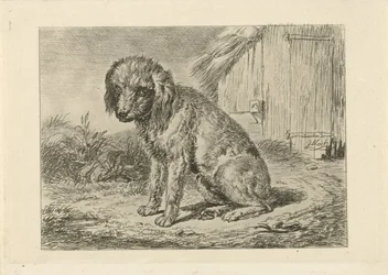 Zittende hond bij een schuur
